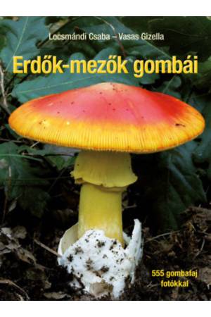 Erdők-mezők gombái - 555 gombafaj - fotókkal
