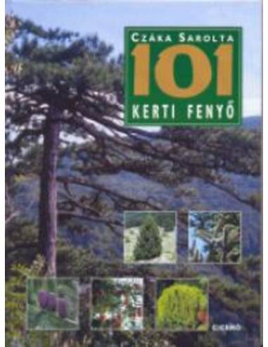 101 kerti fenyő