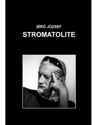 Stromatolite