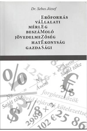 Elemzés - Vállalatielemzés - Mérlegelemzés