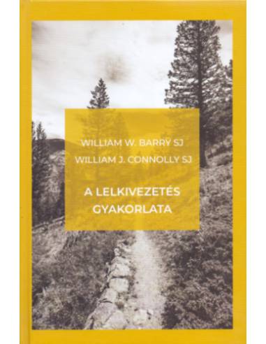 A lelkivezetés gyakorlata