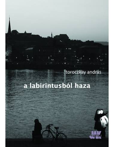 A labirintusból haza