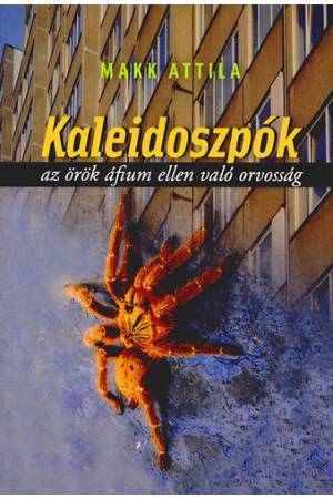 Kaleidoszpók