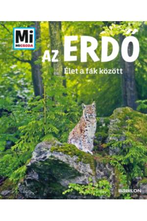 Az erdő - Mi Micsoda - Élet a fák között