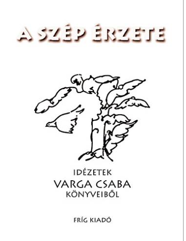 A szép érzete - Idézetek Varga Csaba könyveiből