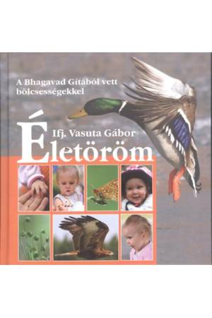 Életöröm - A Bhagavad Gitából vett bölcsességekkel