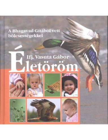 Életöröm - A Bhagavad Gitából vett bölcsességekkel