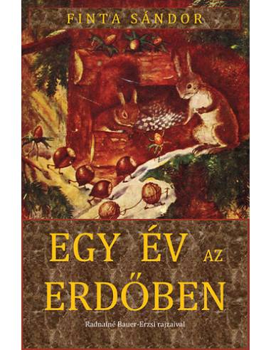 Egy év az erdőben