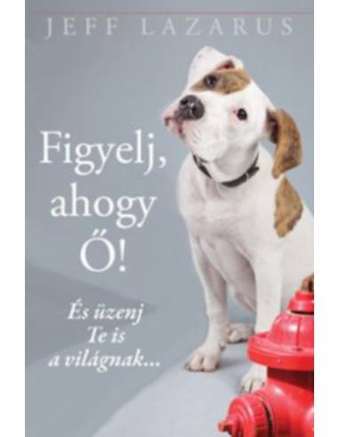 Figyelj, ahogy Ő! - És üzenj Te is a világnak...