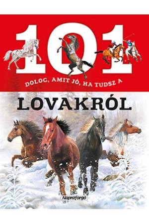 101 dolog, amit jó ha tudsz a lovakról