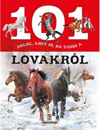 101 dolog, amit jó ha tudsz a lovakról