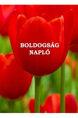 Boldogságnapló - puha kötés