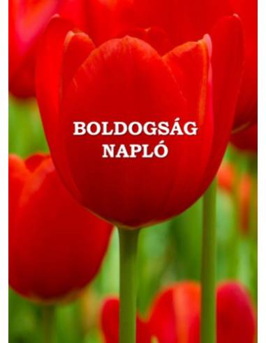 Boldogságnapló - puha kötés