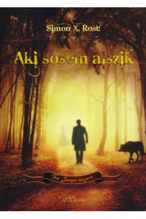 Aki sosem alszik 2