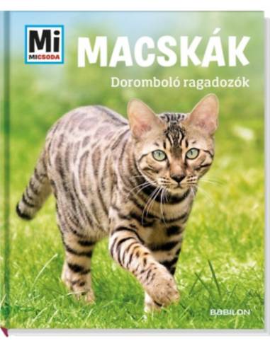 Macskák - Doromboló ragadozók