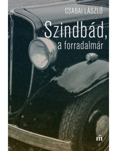 Szindbád, a forradalmár - Nyolc év Misáéknál