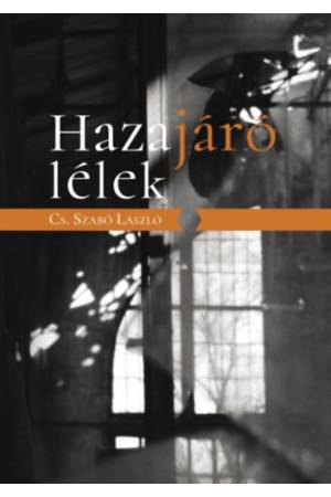 Hazajáró lélek 2