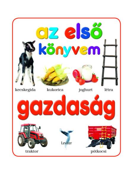Gazdaság - Az első könyvem