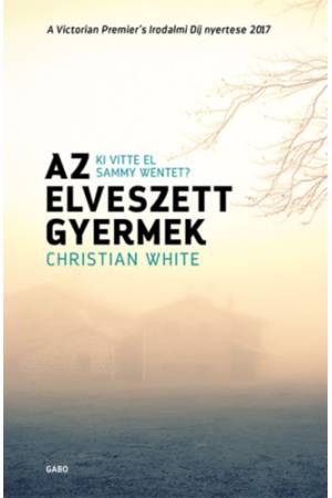 Az elveszett gyermek