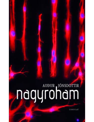 Nagyroham
