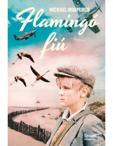 Flamingó fiú