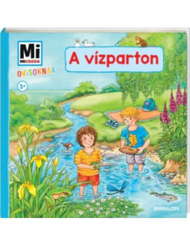 Mi Micsoda Ovisoknak - A vízparton