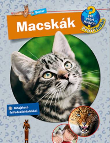 Macskák - Mit? Miért? Hogyan? Profi tudás