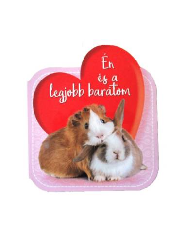 Én és a legjobb barátom