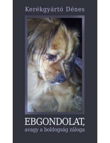 Ebgondolat, avagy a boldogság záloga