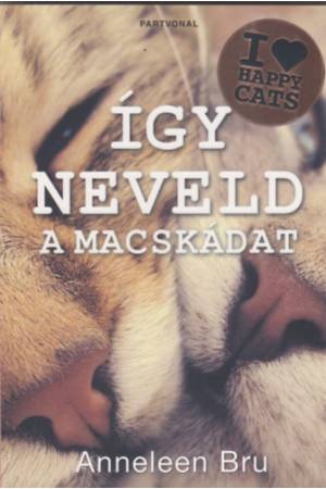 Így neveld a macskádat