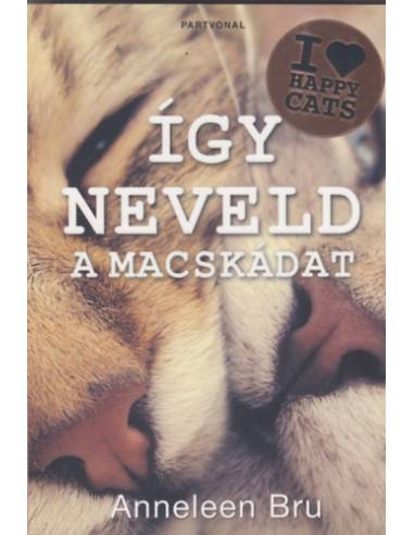 Így neveld a macskádat