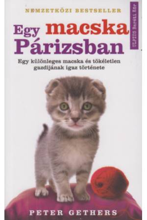 Egy macska Párizsban - Egy különleges macska és tökéletlen gazdijának igaz története