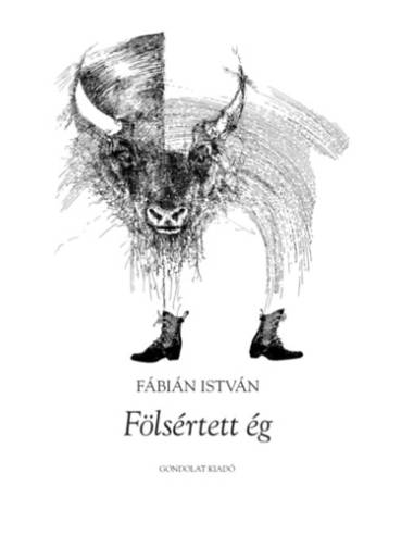 Fölsértett ég
