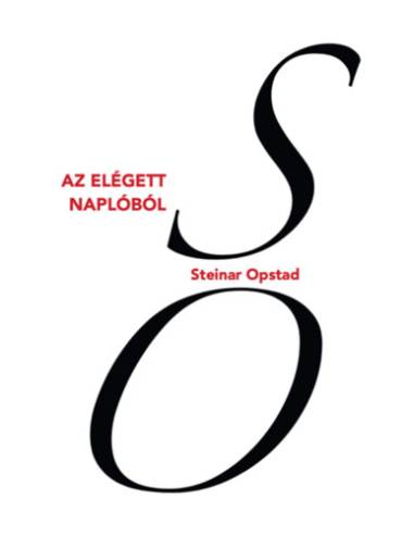 Az elégett naplóból