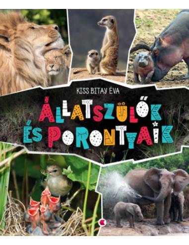 Állatszülők és porontyaik