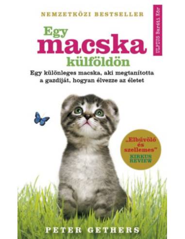 Egy macska külföldön - Egy különleges macska, aki megtanította a gazdiját, hogyan élvezze az életet