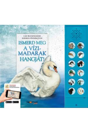 Ismerd meg a vízimadarak hangját! - A vízi élőhelyek madárvilága életre kel