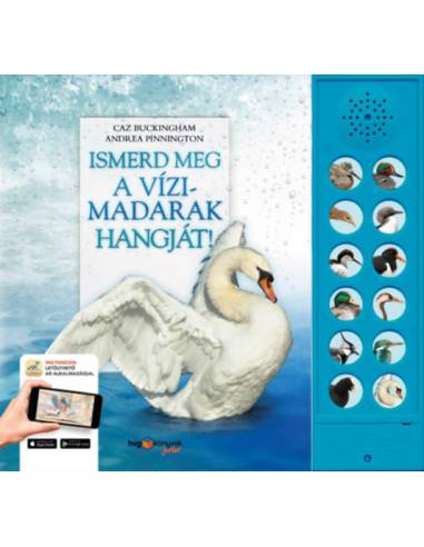 Ismerd meg a vízimadarak hangját! - A vízi élőhelyek madárvilága életre kel