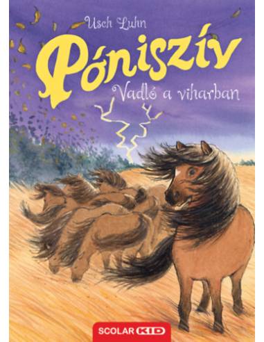 Póniszív - Vadló a viharban