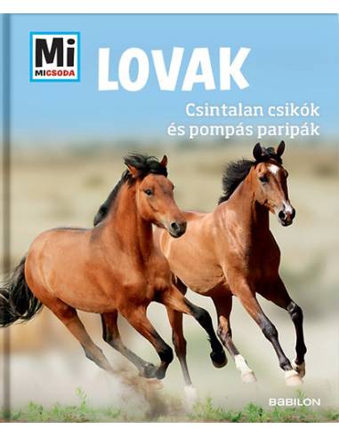 Lovak - Csintalan csikók és pompás paripák - Mi Micsoda