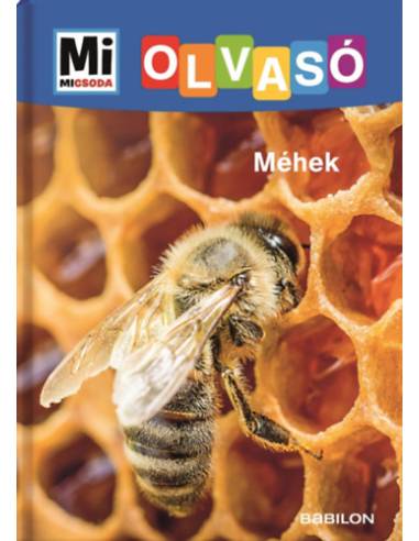 Méhek - Mi Micsoda Olvasó