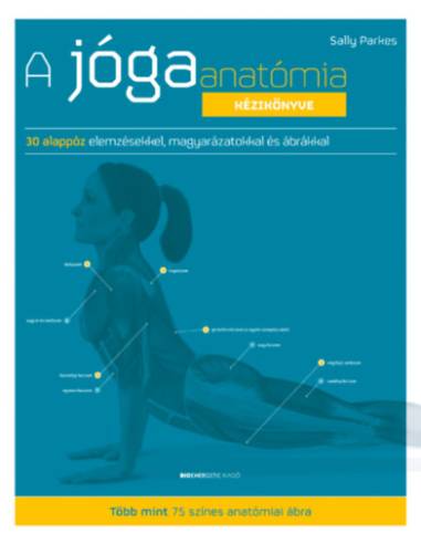 A jógaanatómia kézikönyve - 30 alappóz elemzésekkel, magyarázatokkal és ábrákkal