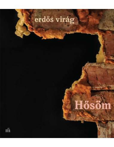 Hősöm