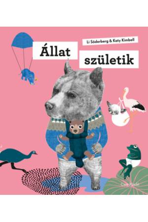 Állat születik
