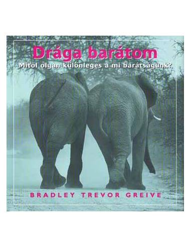 Drága barátom - Mitől olyan különleges a mi barátságunk?