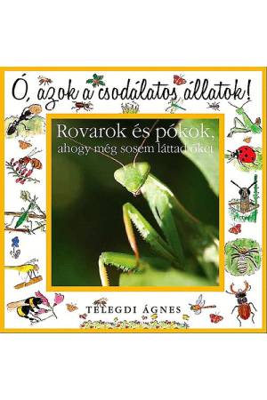 Ó, azok a csodálatos állatok!  - Rovarok és pókok - AHOGY MÉG SOSEM LÁTTAD ŐKET