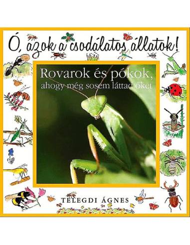 Ó, azok a csodálatos állatok!  - Rovarok és pókok - AHOGY MÉG SOSEM LÁTTAD ŐKET