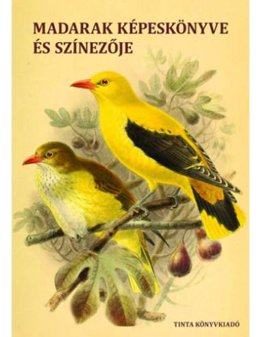 Madarak képeskönyve és színezője