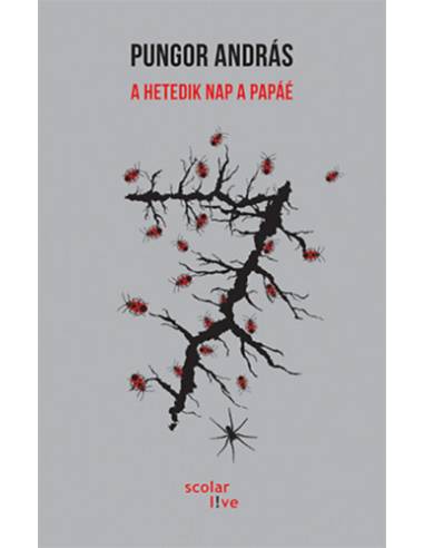 A hetedik nap a papáé - Pungor András