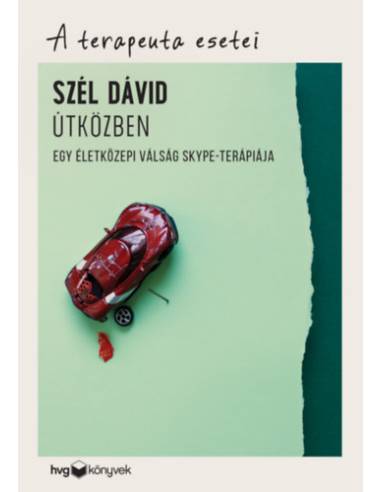 Útközben - Egy életközepi válság Skype-terápiája - A terapeuta esetei